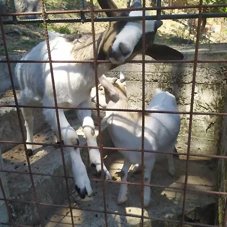 Panzió Lujocanda Casarza Ligure