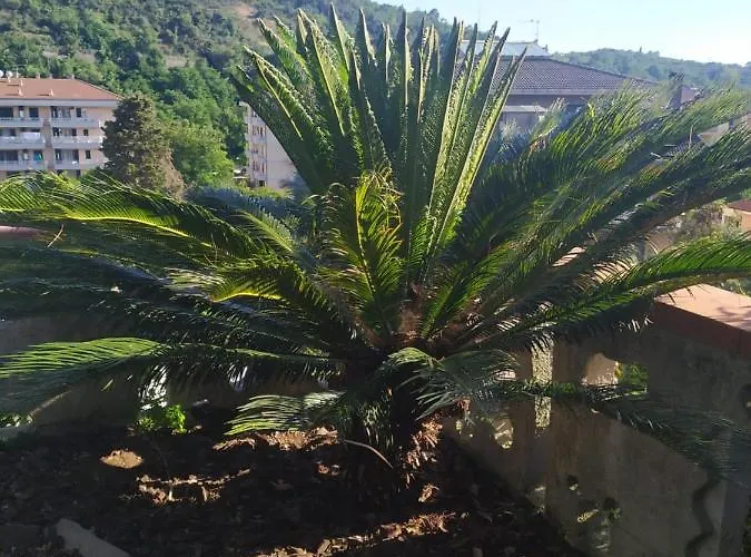 Bed & Breakfast Lujocanda Casarza Ligure