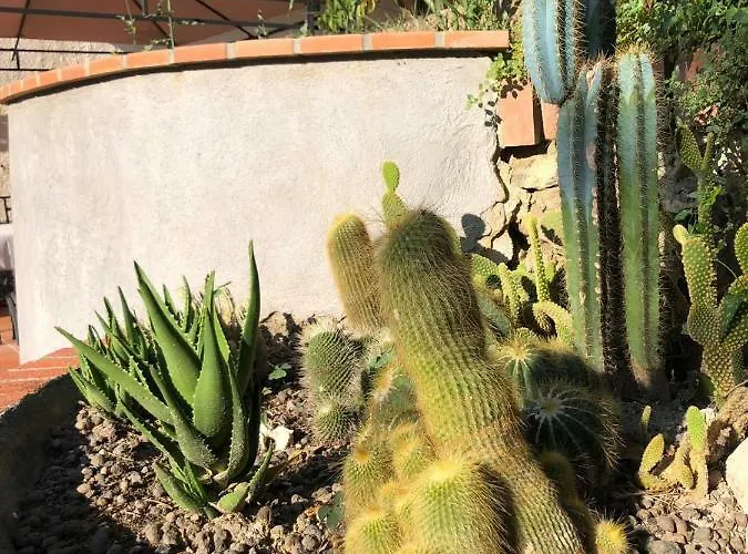 Bed and breakfast Lujocanda